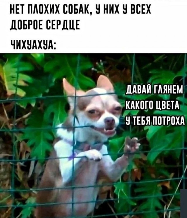 Зло