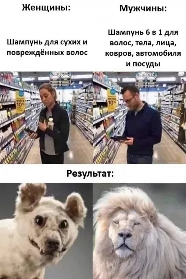 Картиночки, баянчики 20 января