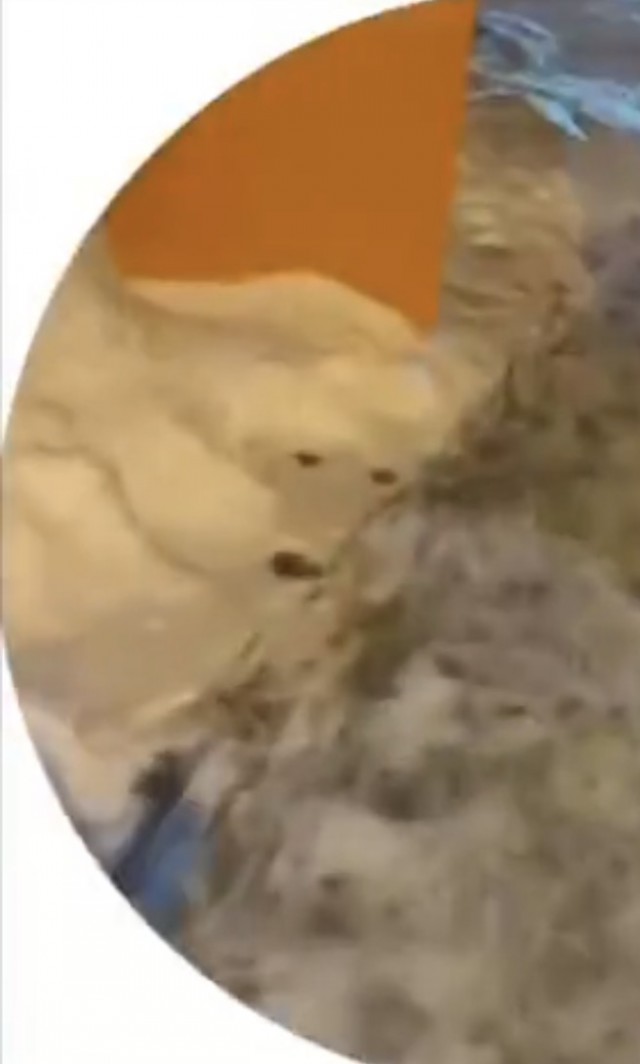 Нормально так поздравила с 23-м⁠