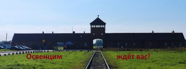 «Комфортнее и дешевле»: сенатор предложил закрыть дома престарелых ради бюджета
