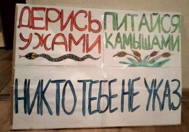 Картинки для деградации 193 (разной степени свежести)