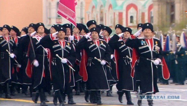 Иркутский «ведьмак» ранил мечом путника в лесу, который начал предъявлять ему за внешний вид