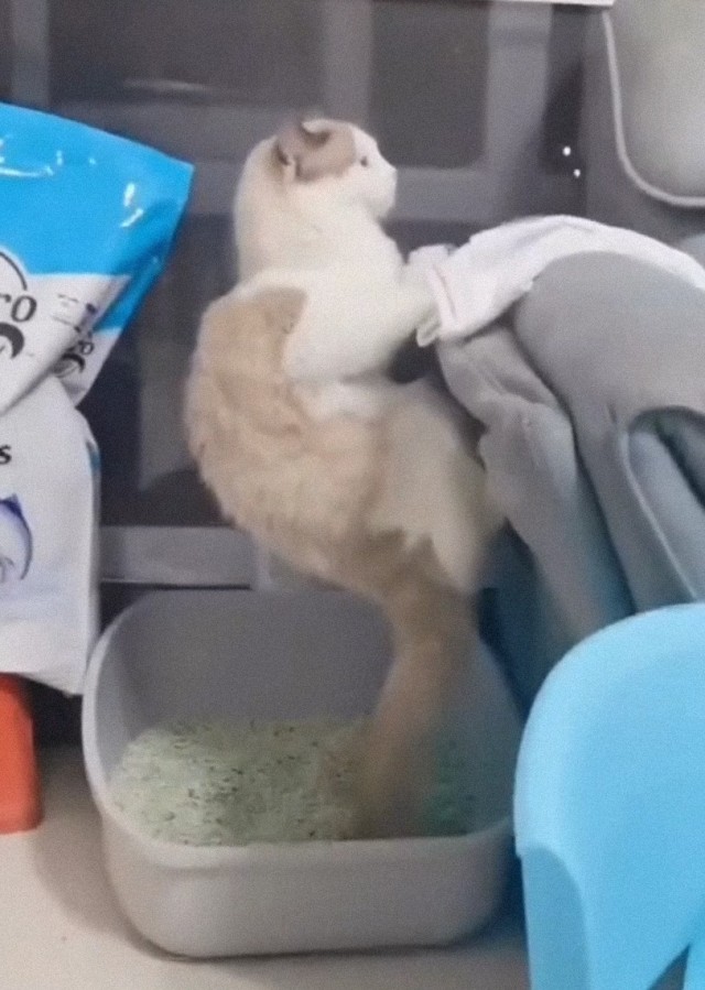 Альпинизма