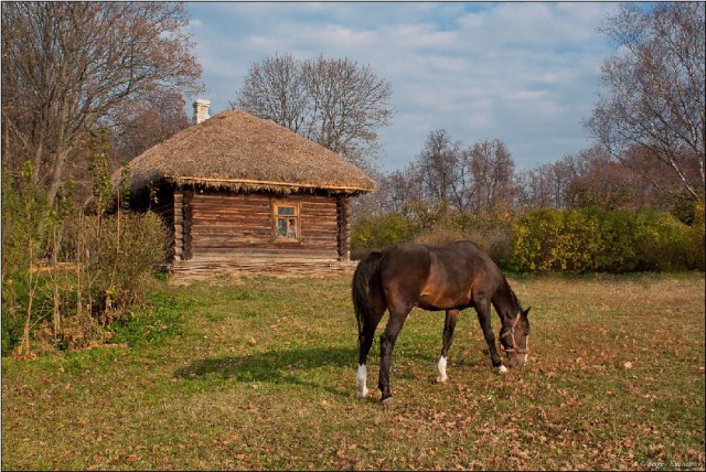 Про Родину