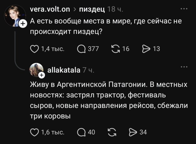 Три коровы на тракторе поехали новым маршрутом на фестиваль сыров
