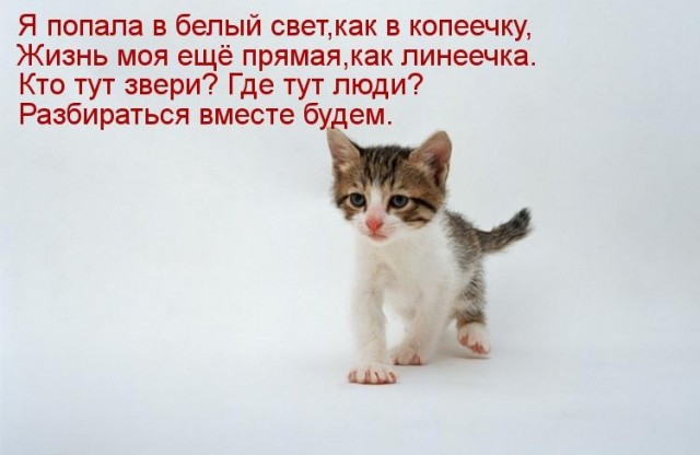 Моджахеды подбили ракетой