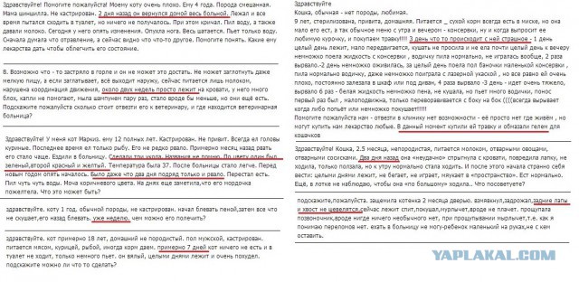 Страшно привыкать