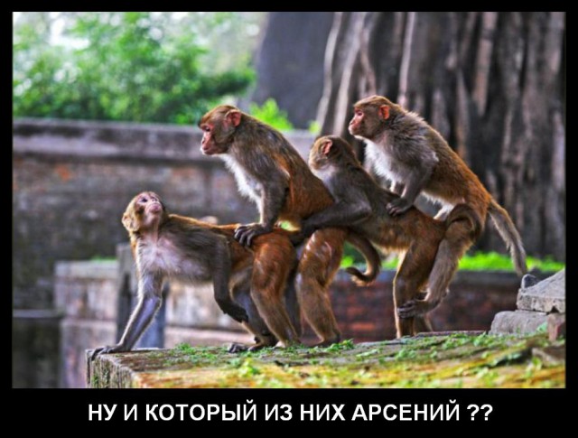 29 украинских санкций, или Самоликвидация Арсения