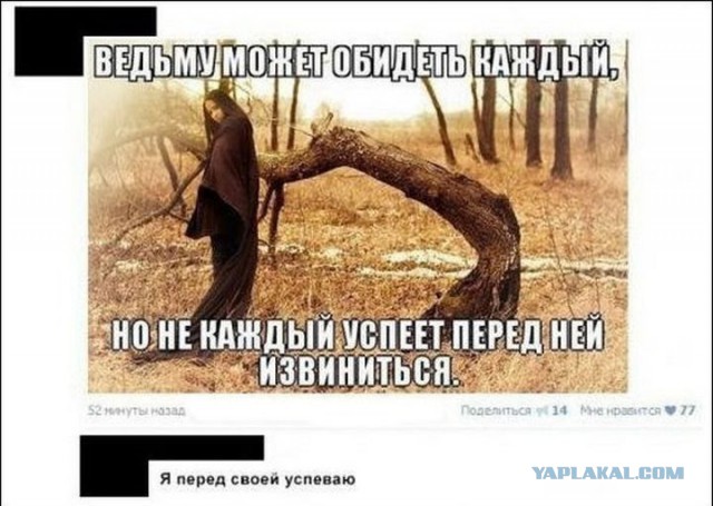 Пятница, картинки для поднятия настроения