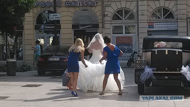 Последнее фото с Вашего телефона.