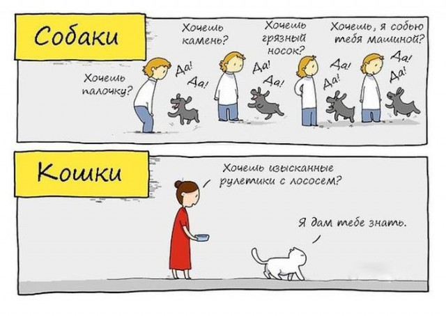 Любофф! Это точно любофф!