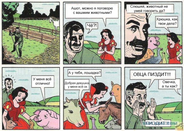 В красных макасах вход воспрещен!