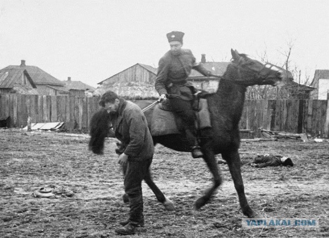 Украина 1942 год