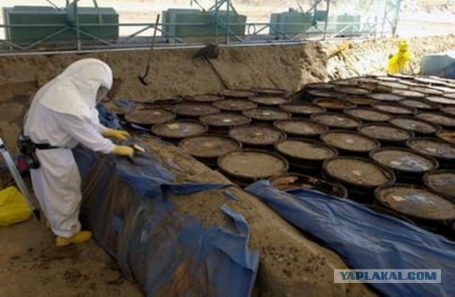 Стеклянная бухта во Владивостоке