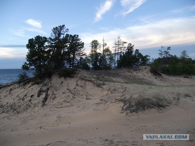 Самая крупная дюна в Европе — растет!