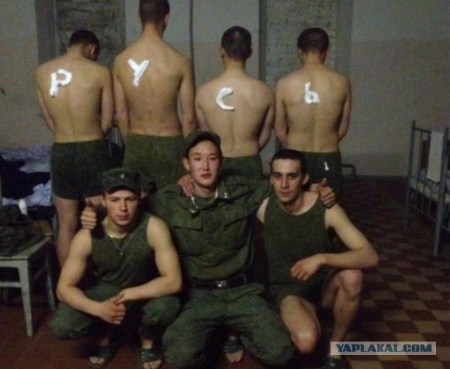 Дедовщина 2016