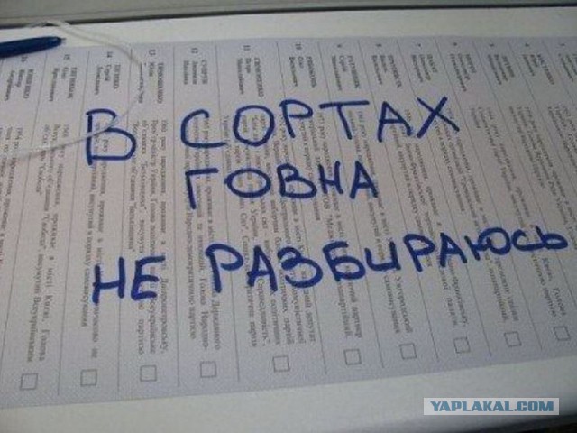 Едросы боятся остаться в Ж