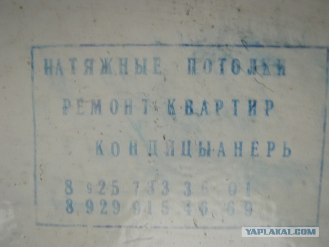 Весёлые картинки