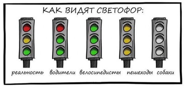 Как видят мир люди с разными формами дальтонизма