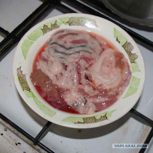 Толстолобик, глубокая переработка.Холодец.