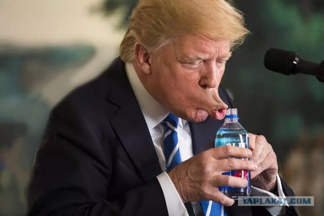 Свежая подпорка жаб на Трампа