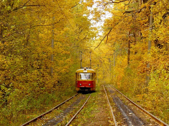 Осенние поезда и железная дорога