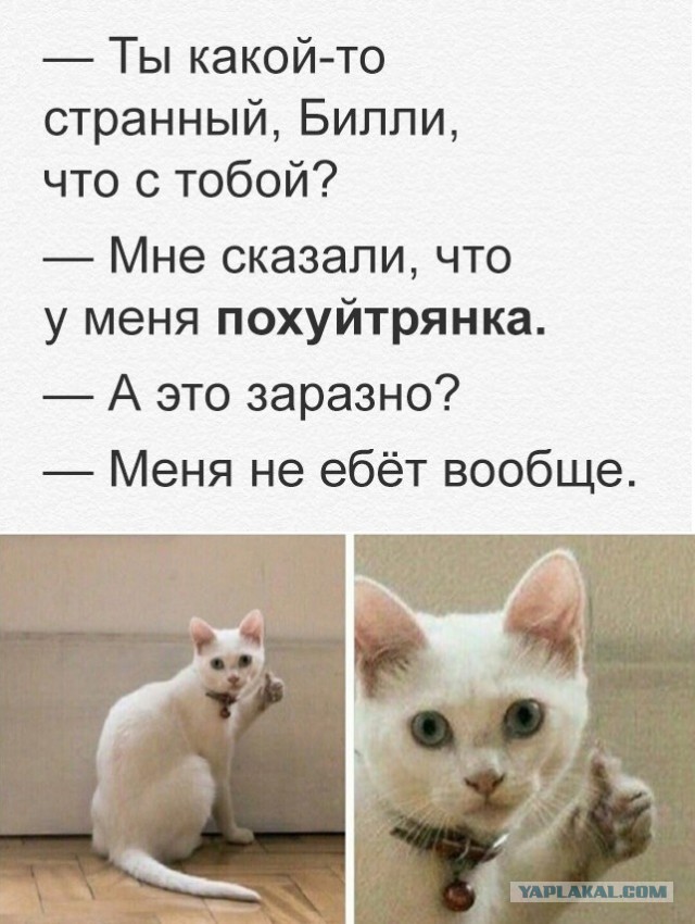 Картинки разные, хорошие и не очень