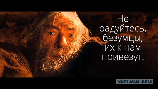 Страшный сон французских полицейских - сдача дубинок