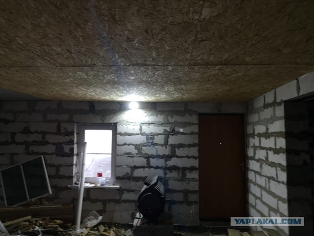 Жизнь домашнего приюта "Котоленд" 262