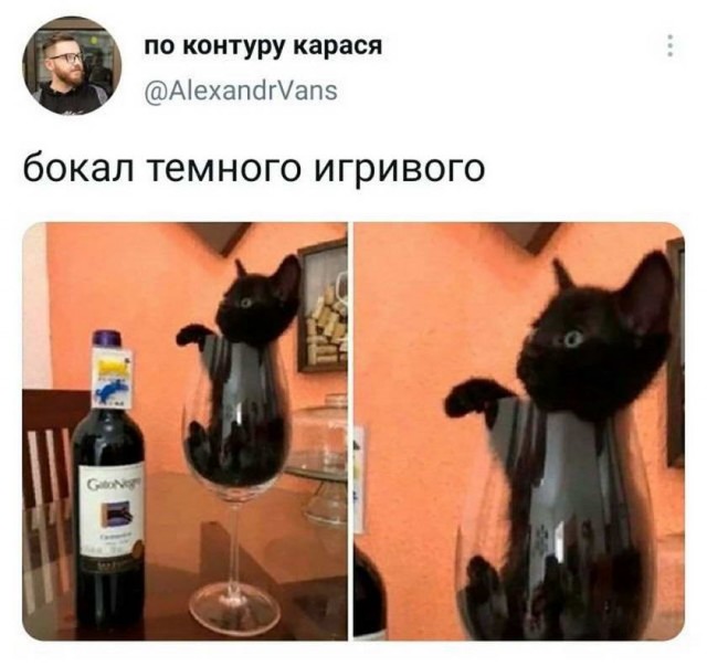 Картинки и мемы для настроения 011