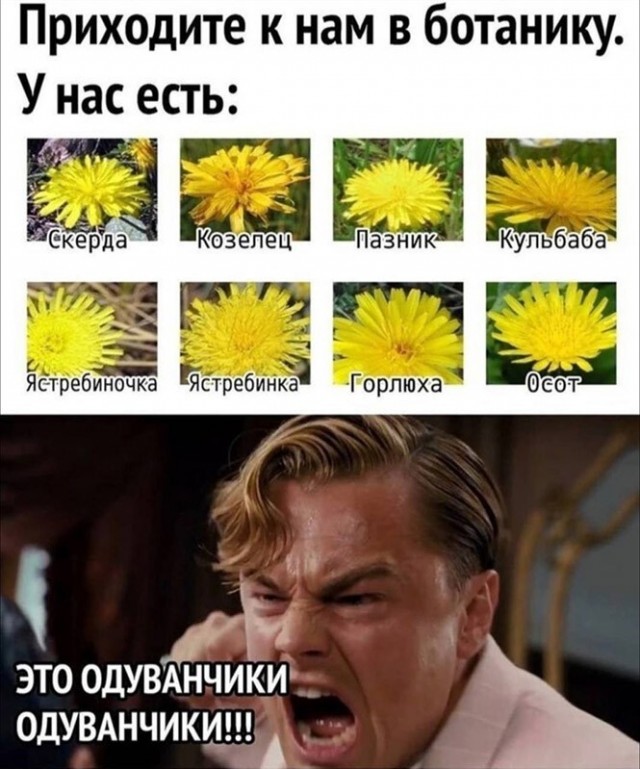 Баянисто-небаянистый юмор 19.07.21
