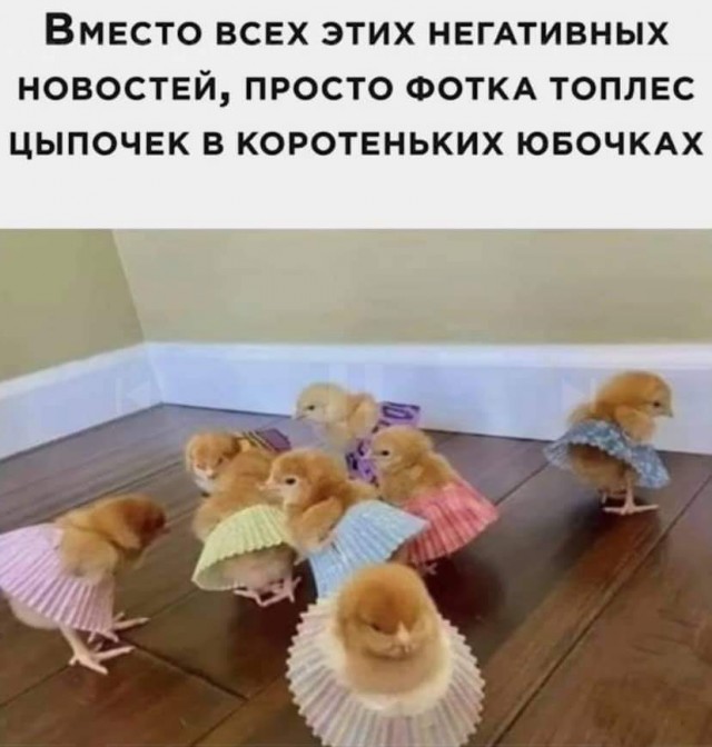 Картинки на среду разные