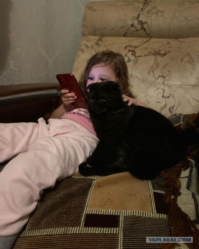 Вы, что спите? Вставайте, котовторник же!