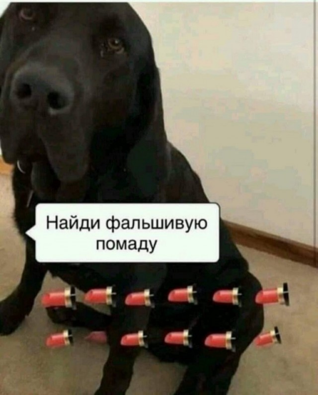 Подеградируем, побаяним... ч.2