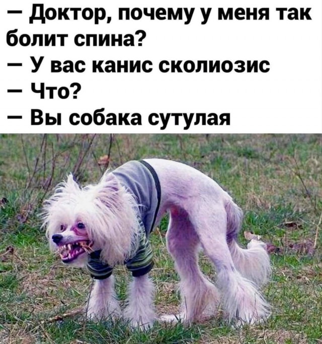 Очередная Хня вам в ленту, дорогие деграданты
