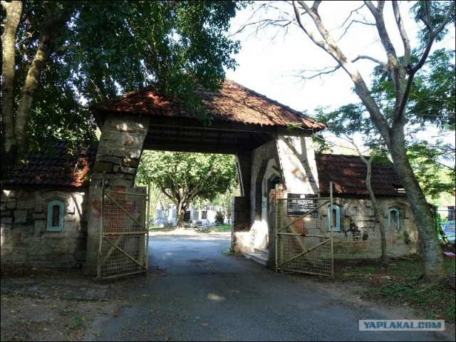 Кладбища Джоржтауна