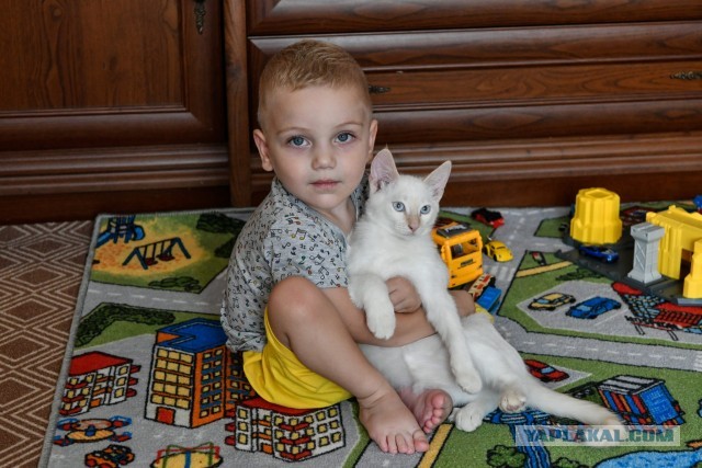 Представители других стран готовы предоставить лекарство от СМА мальчику из России