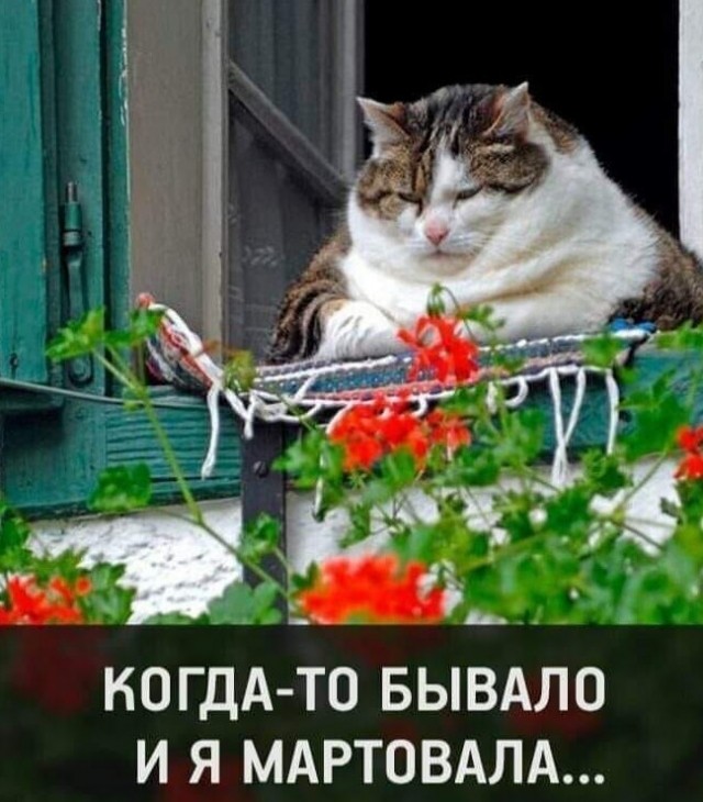 Так себе картинки 20.02.22