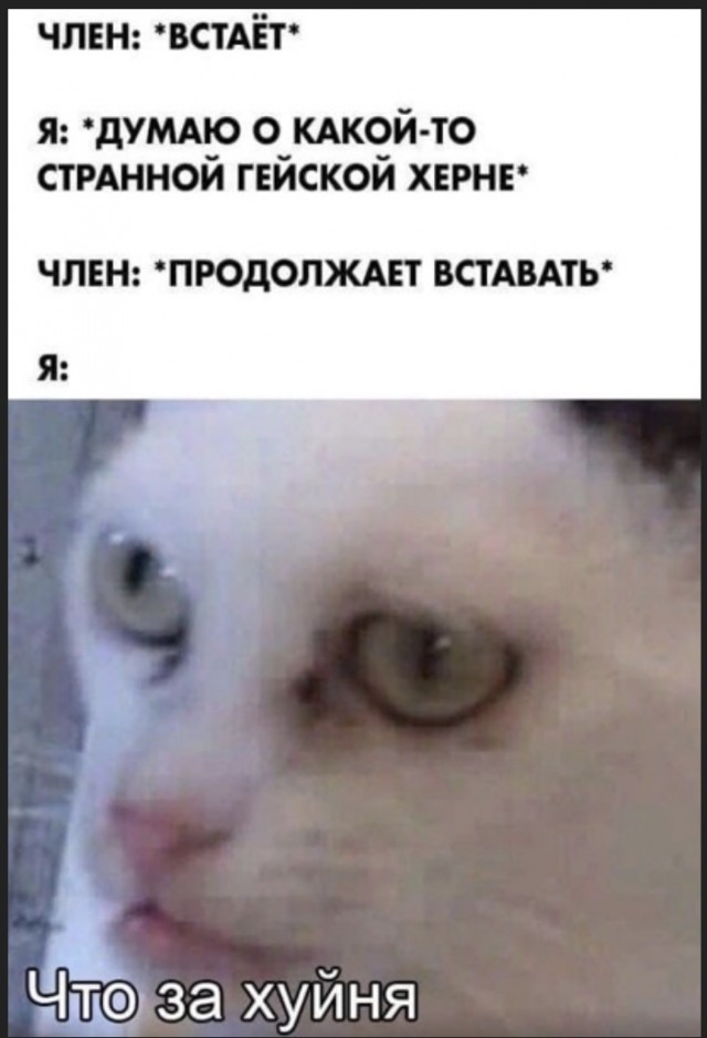 Так себе картинки 20.06.22