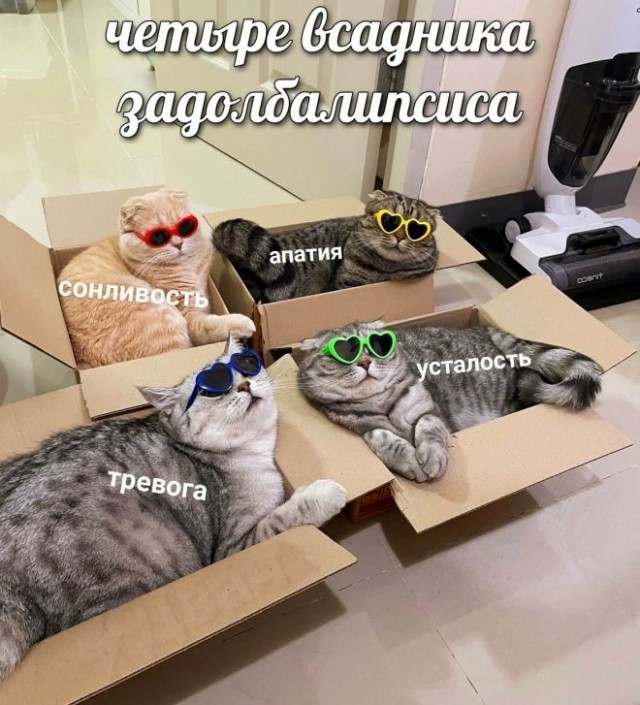 Так себе картинки 02.11.22