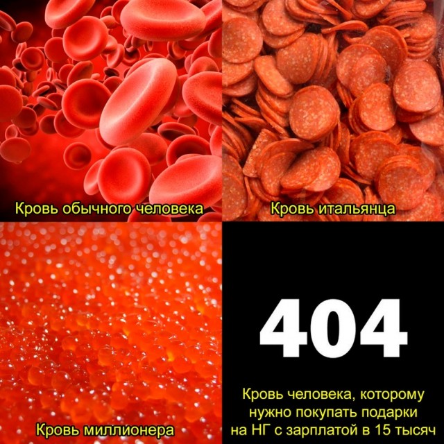Весёлый полтишок 16.12.2022