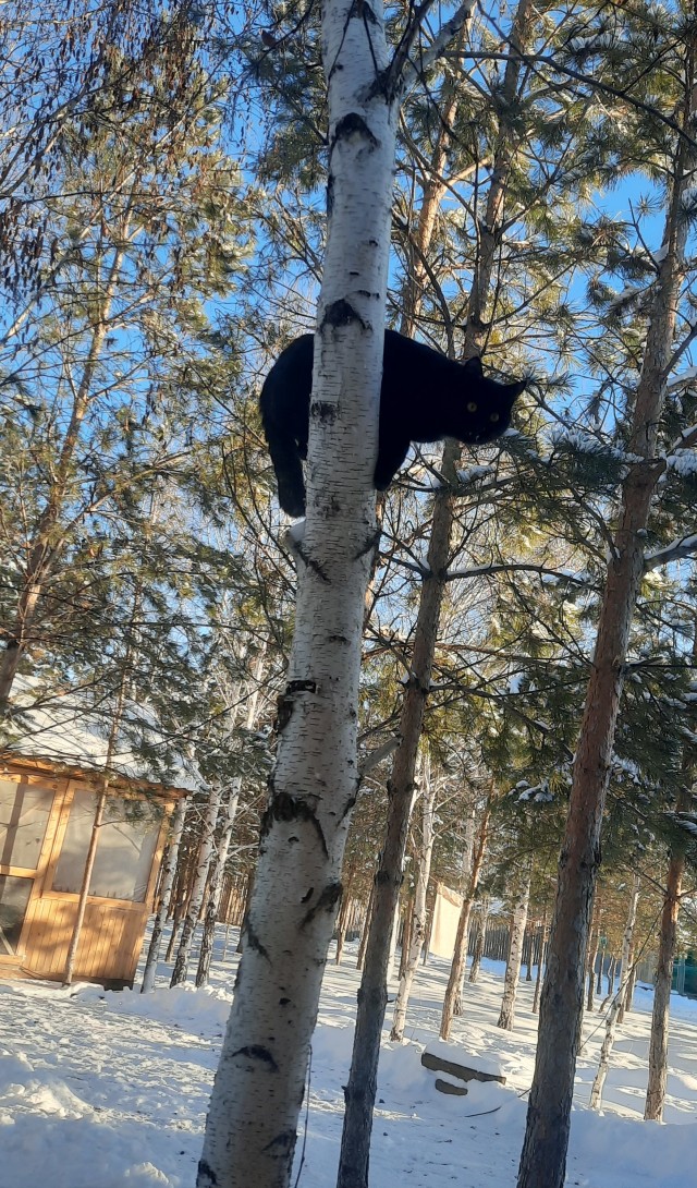 Новогодняя игрушка