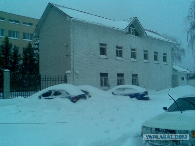 23 марта. Киев. Весна.