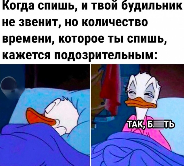 Нуштош 18.02.2023
