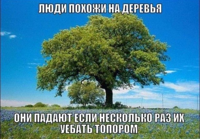 Весёлый полтишок 23.06.24