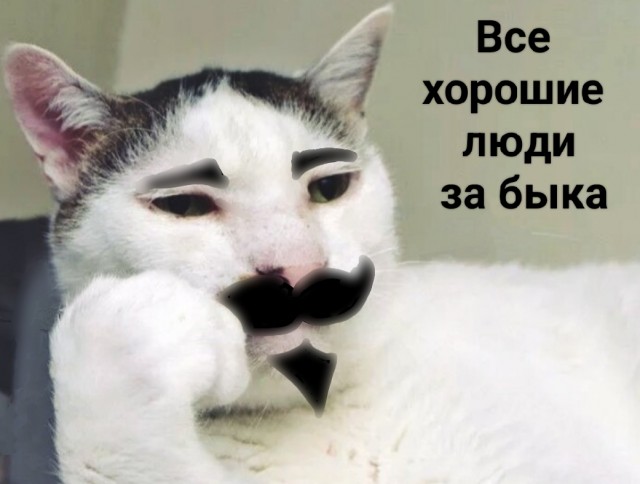 Лысый доигрался