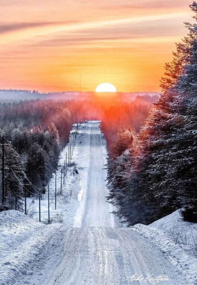 Прикольные и просто красивые картинки 17.01.2025