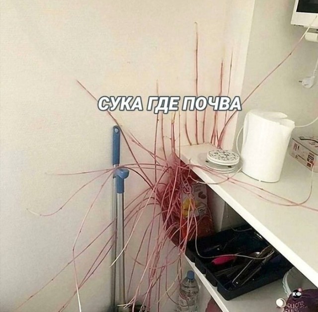 Завалялось тут случайно немного забавных картинок