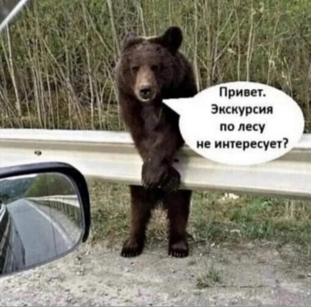 Веселые картинки в пятницу (04.04)