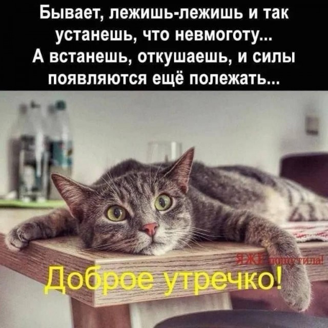 Веселые картинки в пятницу (11.04)